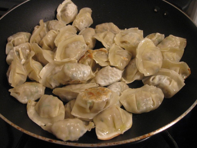 While the soup boils, slighty brown your mini potstickers in olive oil.