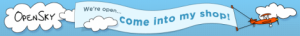 Click here to visit Danica's Daily OpenSky shop