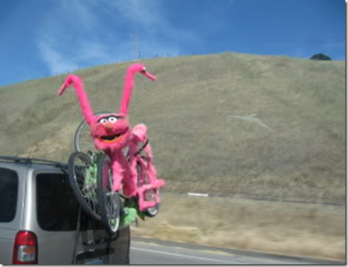 You know you wanna ride it!