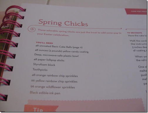 All you need to make Spring Chicks