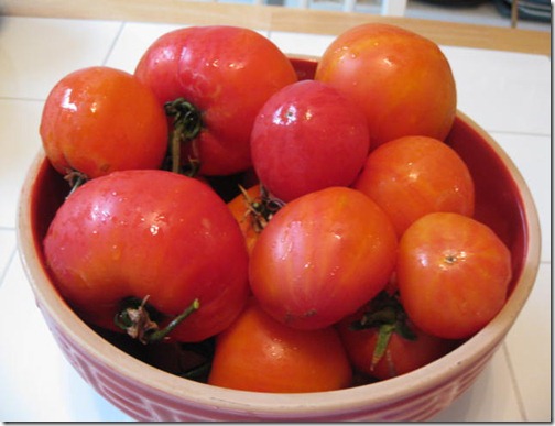 Mr. Stripey Heirloom Tomatoes