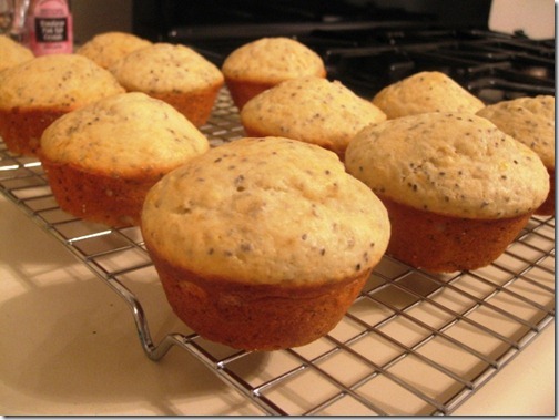chia seed muffin recipes