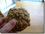 oatmeal chocolate chunk cookie