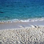 IMG_5919 IMG_5919