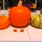 IMG_7534 IMG_7534